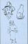 dessin 7.jpg